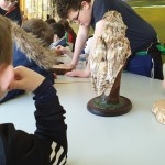 Visiting the interpretive centre Ballycroy 2019