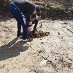 Planting trees at the interpretative centre 2019
