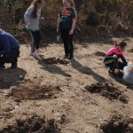 Planting trees at the interpretative centre 2019