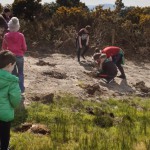 Planting trees at the interpretative centre 2019