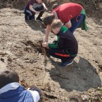 Planting trees at the interpretative centre 2019