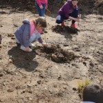 Planting trees at the interpretative centre 2019