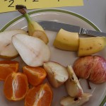 Discovery Primary Science and Maths Project