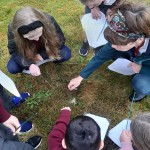 Heritage in schools 2019