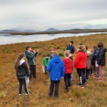 Heritage in schools 2019