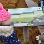 Heritage in schools 2019