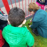 Heritage in schools 2019