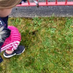 Heritage in schools 2019